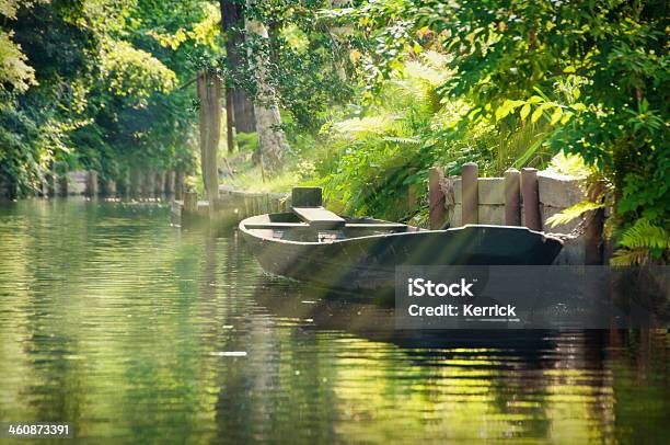 River Landscape With Green Forest In Spreewald Germany Stock Photo - Download Image Now