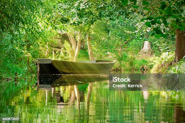 Foresta Verde Paesaggio Con Fiume Nella Foresta Della Spreagermania - Fotografie stock e altre immagini di Spreewald