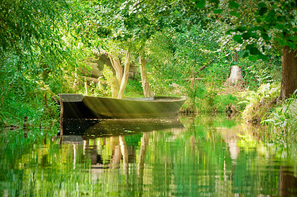 istock river landscape with green forest in Spreewald/ Germany 460873401