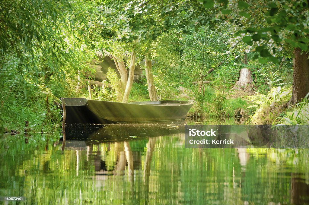 Rio Paisagem com Floresta Verde em Spreewald/Alemanha - Royalty-free Spreewald Foto de stock