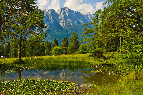 blick von der maximilianshöhe - waxenstein foto e immagini stock