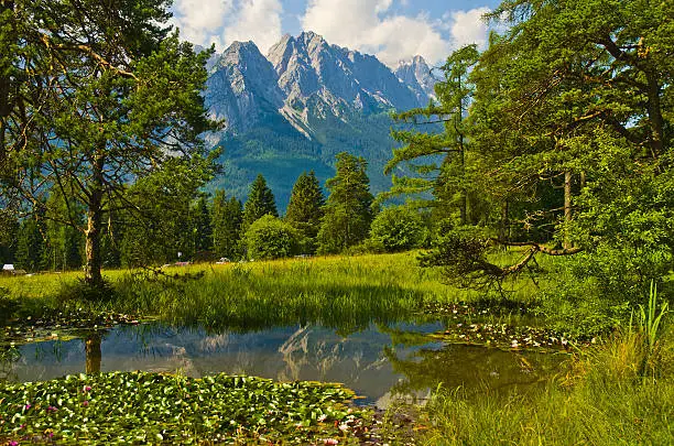 View from the Maximilianshöhe to the Zugspitze, Waxenstein and Alpspitze