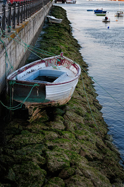 Boat and low tide stock photo