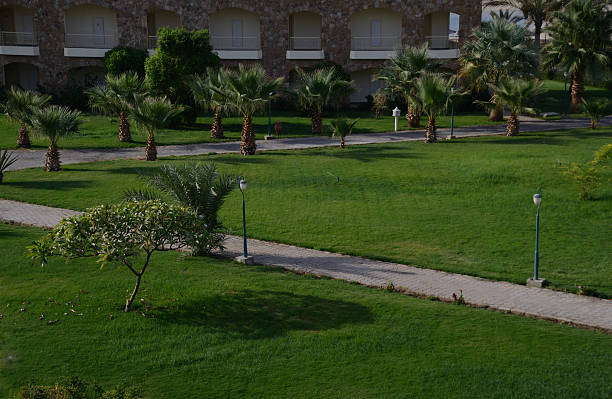 green manicured garden area at the hotel in egypt
