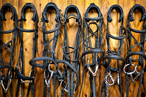 Lariat Rope Lasso and Leather Saddle Decor
