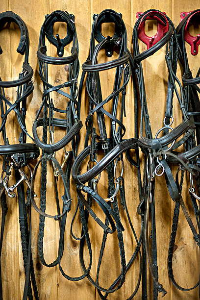 istock Horse bridles hanging in stable 460900429