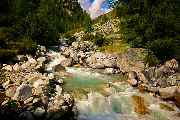 istock Grass alpine meadow surrounded by high mountains in Switzerland. 460901011