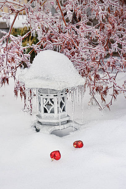 istock Christmas decorations, frozen japanese lantern and maple tree 460910303