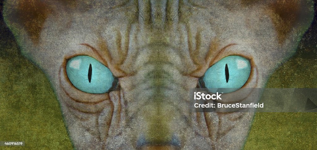 Staring Sphynx An unusual illustration of the famous sphynx cat with a haunting piercing stare Alien Stock Photo