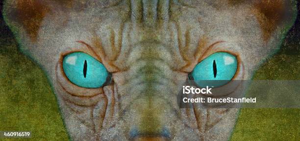 Staring Sphynx Stock Photo - Download Image Now - Alien, Animal, Animal Body Part