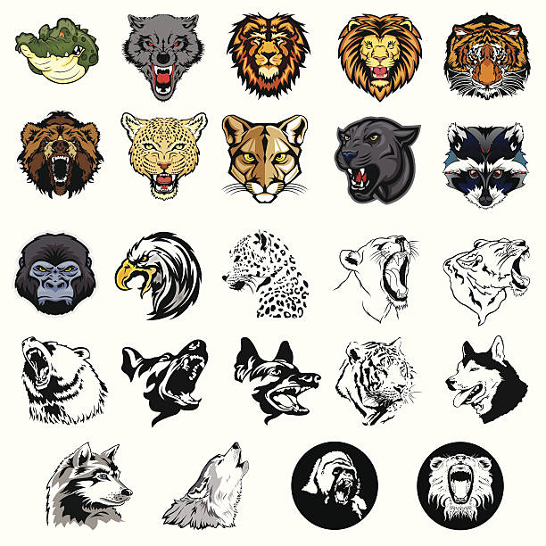 ilustrações de stock, clip art, desenhos animados e ícones de conjunto ilustrado de animais silvestres e cães - machine teeth