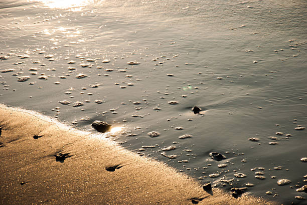 istock beauty Beach with Sunrise 460920537