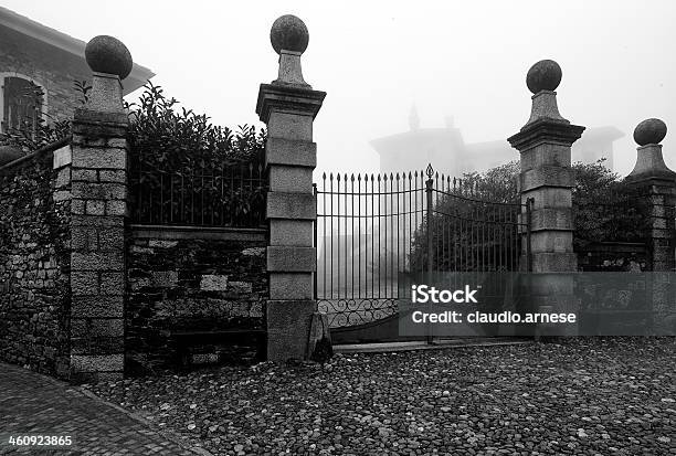 Vecchio Porta Con Nebbia Bianco E Nero - Fotografie stock e altre immagini di Ambientazione esterna - Ambientazione esterna, Antico - Vecchio stile, Bianco e nero