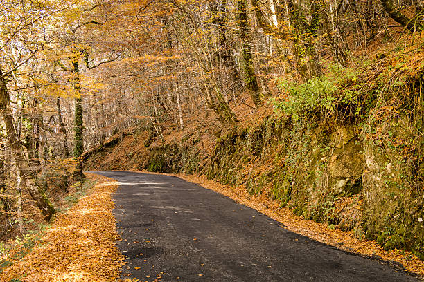 istock Autumn, Geres, Portugal 460926917