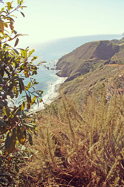 Big Sur Coast Of California. Picture shot on a cloudy day.