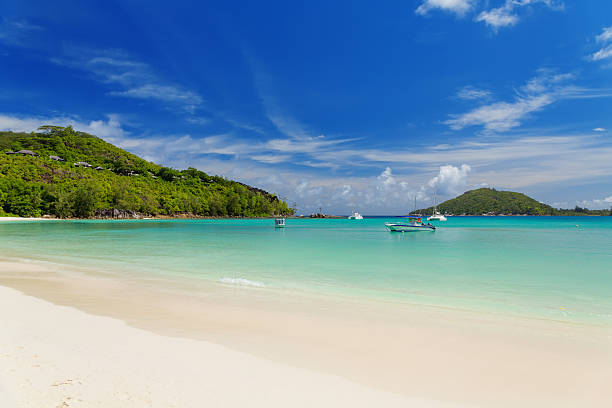 istock Tranquil and beautiful Polone beach at Mahe island, Seychelles 460930563