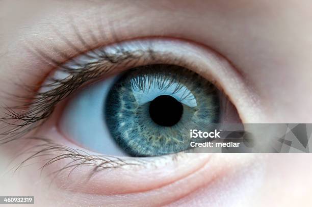 La Vista De Un Niño Foto de stock y más banco de imágenes de Abierto - Abierto, Azul, Belleza