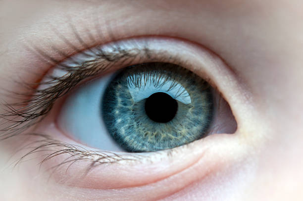 istock The eye of a child 460932319
