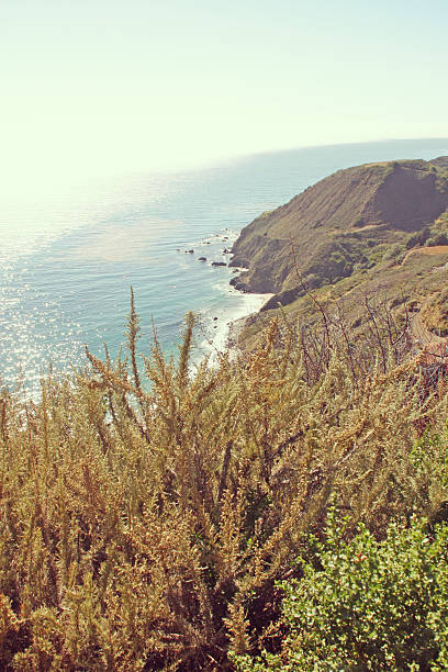 Big Sur Coast Of California. Picture shot on a cloudy day.