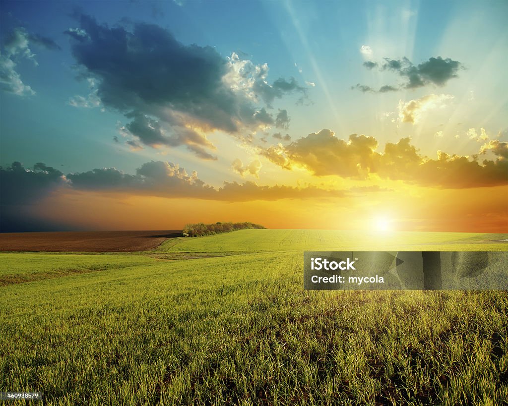 Puesta de sol y campo verde - Foto de stock de Nube libre de derechos