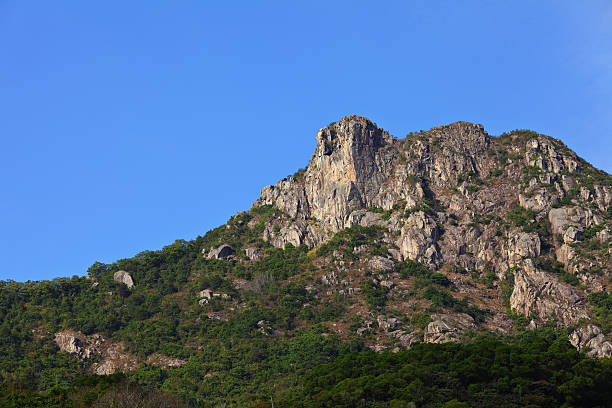 istock Lion Rock in Hong Kong 460946685