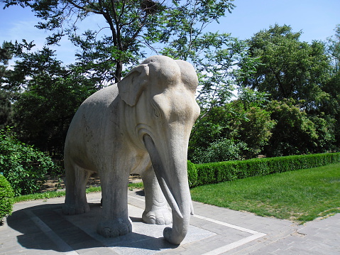 Elephant isolated on white background. 3D render