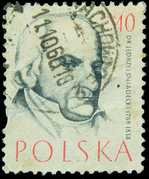 istock Vintage of USA postage stamp 461017747
