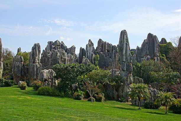 istock Shilin Stone Forest in Kunming, Yunnan, China 461036491