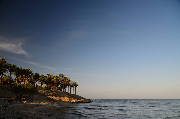 island with palm trees on the sand beach and sea
