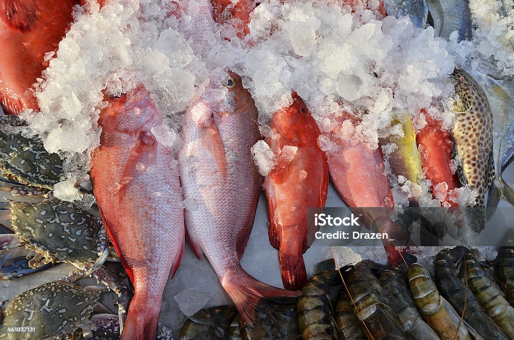 fish market Fish market with different sorts of fish Asian Market Stock Photo