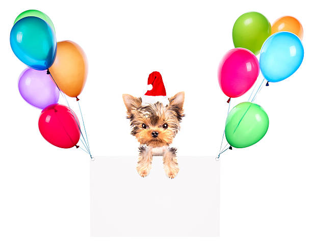 istock Holiday banners with balloons and dog 461043905