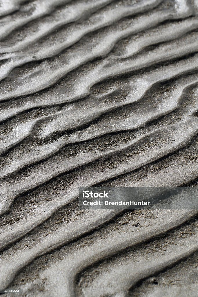 Macro de sable - Photo de Colombie-Britannique libre de droits