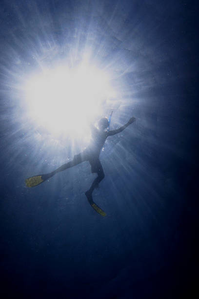 istock snorkelling in sea with sun 461067377