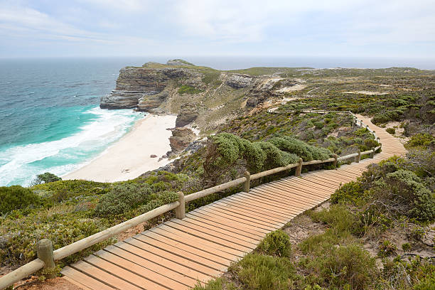 istock Diaz Beach, Cape Point Nature Preserve, South Africa 461067767