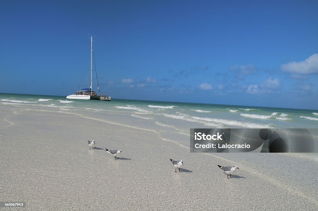 Playa Caribe. - Foto de stock de Aire libre libre de derechos