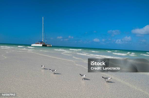 Playa Caribe Foto de stock y más banco de imágenes de Aire libre - Aire libre, Caribe, Catamarán