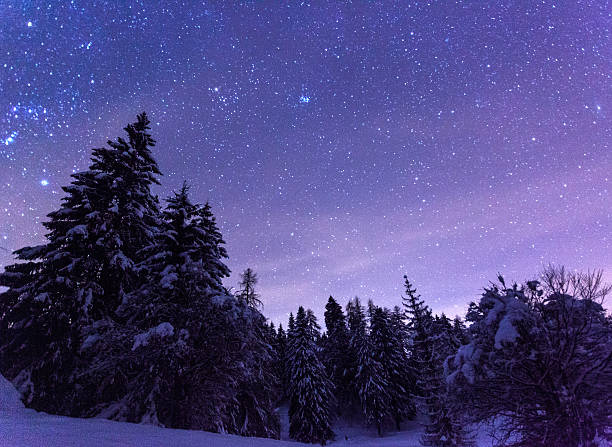 istock Stars in the night sky with snow-covered trees 461067959