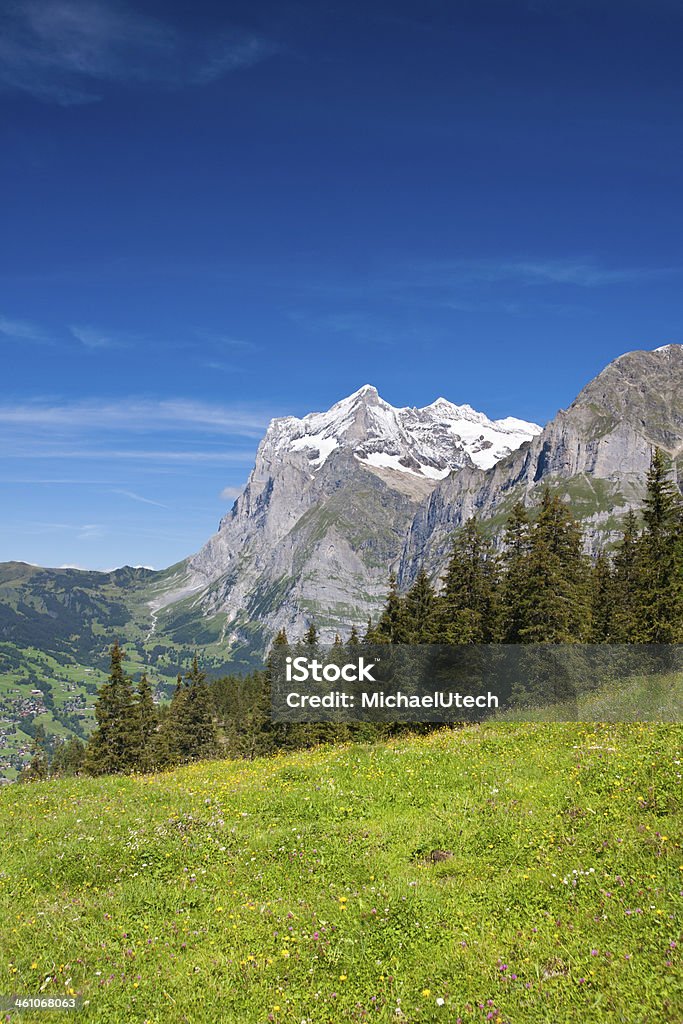 Wetterhorn, Alpi svizzere - Foto stock royalty-free di Albero