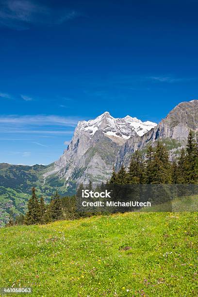 Wetterhorn Alpi Svizzere - Fotografie stock e altre immagini di Albero - Albero, Alpi, Alpi Bernesi
