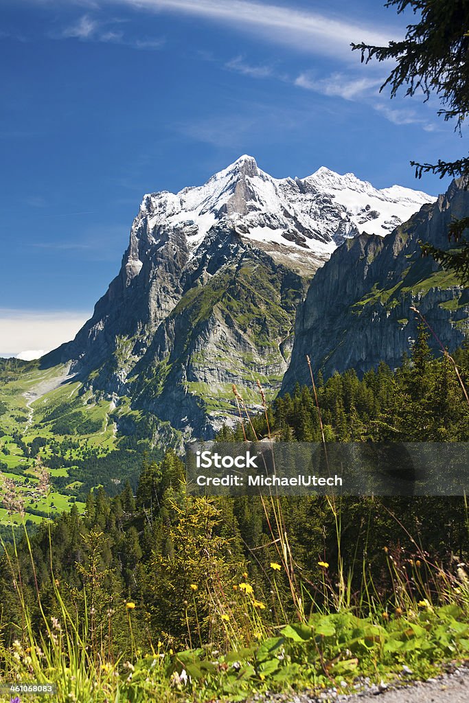 Wetterhorn, Schweizer Alpen - Lizenzfrei Alpen Stock-Foto