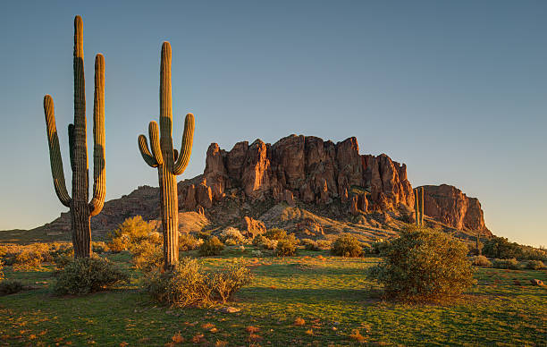 saguaro tramonto e catena montuosa di superstition - desert arizona cactus phoenix foto e immagini stock