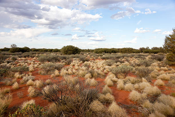 istock Outback in Northern Territory, Australia 461077697
