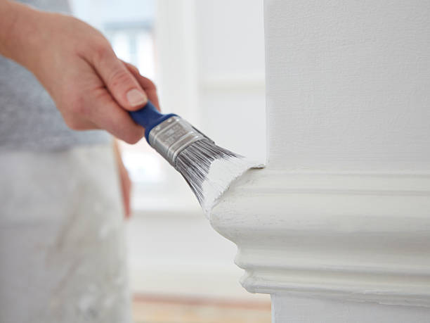 istock Female painting wall 461082739