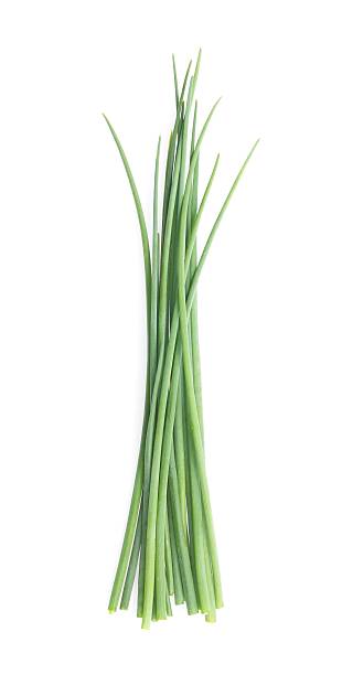 차�이브 - chive herb isolated freshness 뉴스 사진 이미지