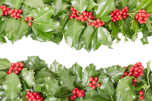 istock Holly border, Christmas decoration 461091105