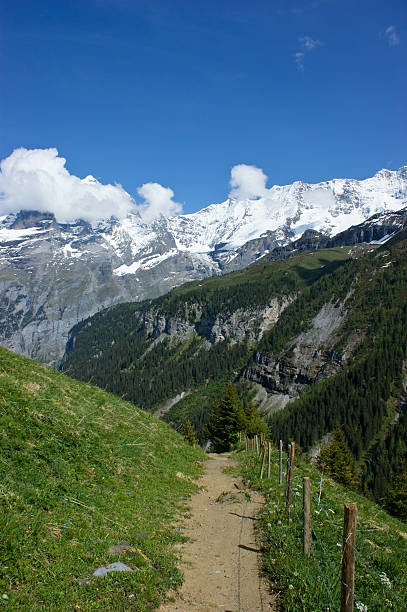 istock Hiking in the Swiss Alps 461091623