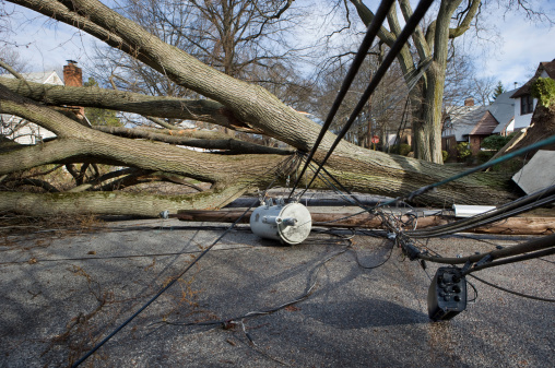 Tree falls after Nor'easter storm and takes down a telephone pole with Transformer.