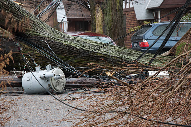 power outage from storm Tree falls after Nor'easter storm and takes down a telephone pole with Transformer. utility pole with power lines close up stock pictures, royalty-free photos & images