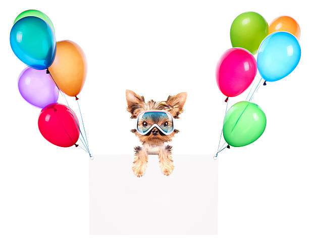 istock Holiday banners with balloons and dog 461100435