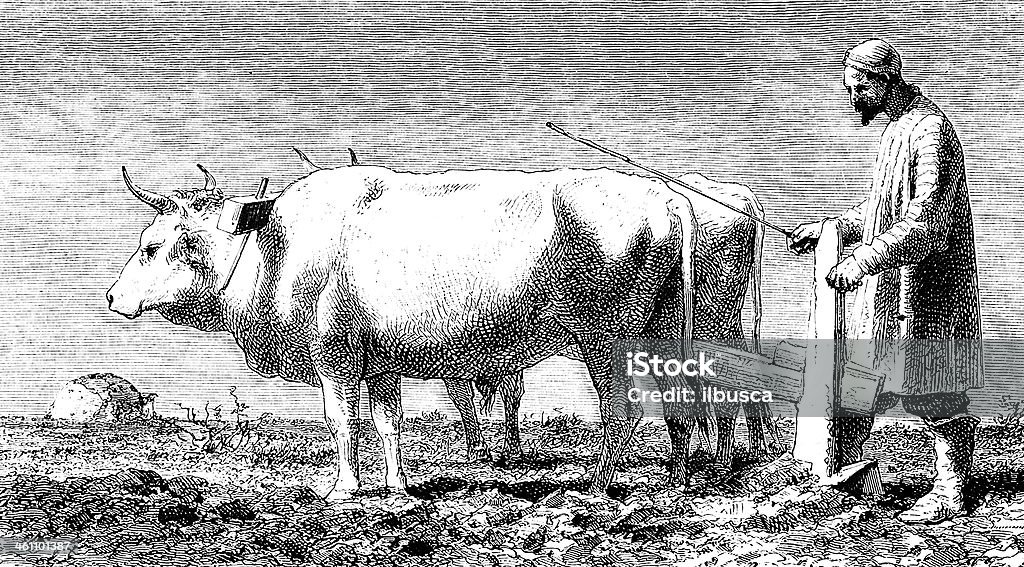 Фермер с скот - Стоковые иллюстрации Узбекистан роялти-фри